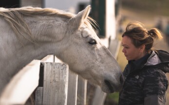 Vrouw en paard 2