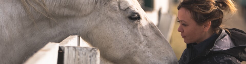 https://www.equidream.be/wp-content/uploads/2016/03/Vrouw-en-paard-2-960x251.jpg